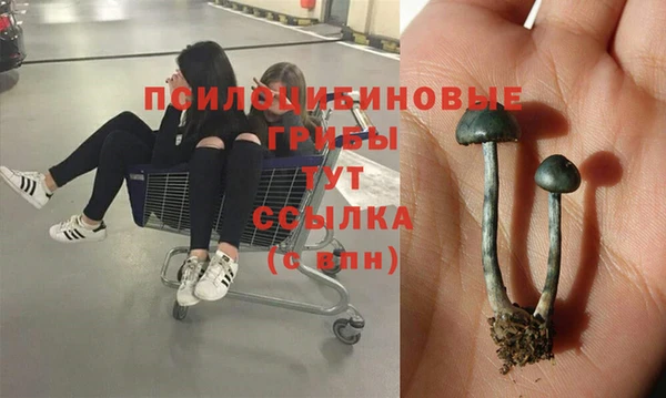 кокс Алексеевка